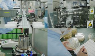 櫻花約定，匠心傳承 日本娜麗絲衛生用品的前世今生