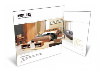 畫(huà)冊(cè)設(shè)計(jì)的專(zhuān)業(yè)之道 如何選擇與利用專(zhuān)業(yè)設(shè)計(jì)服務(wù)